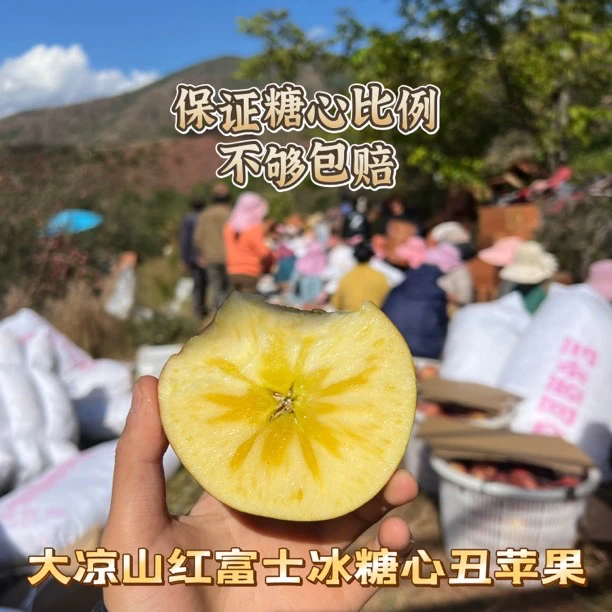 【京东包邮大凉山糖心丑苹果】现摘现发保证糖心比例4/5/7/8斤
