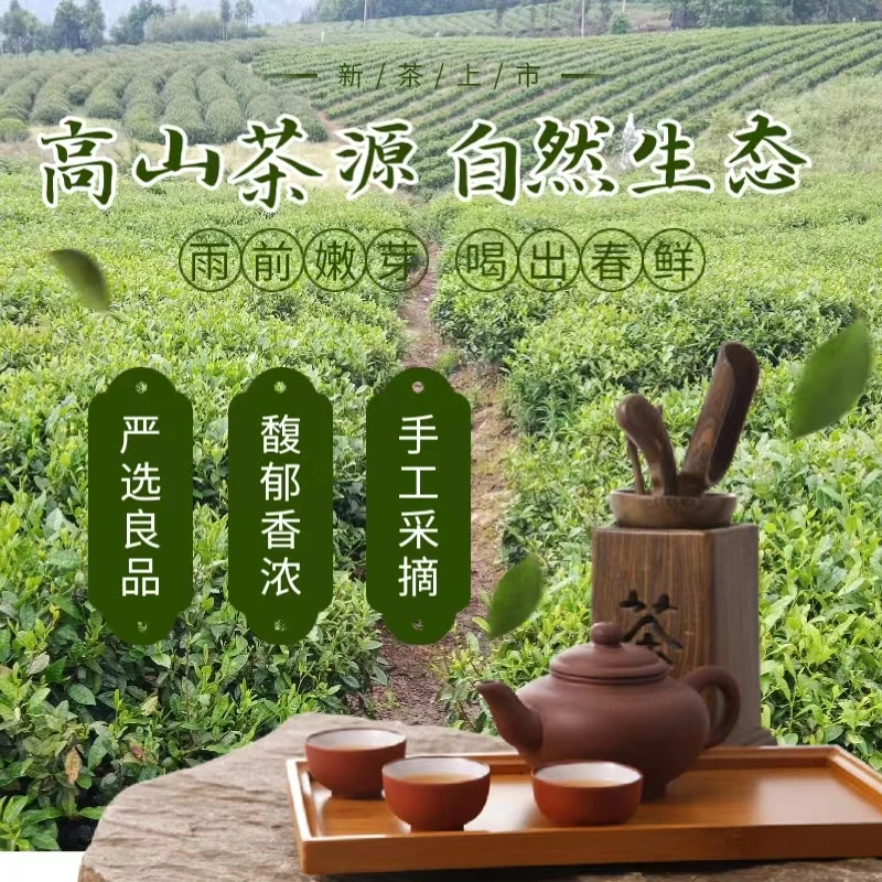 奉节县香山贡茶雨前毛峰