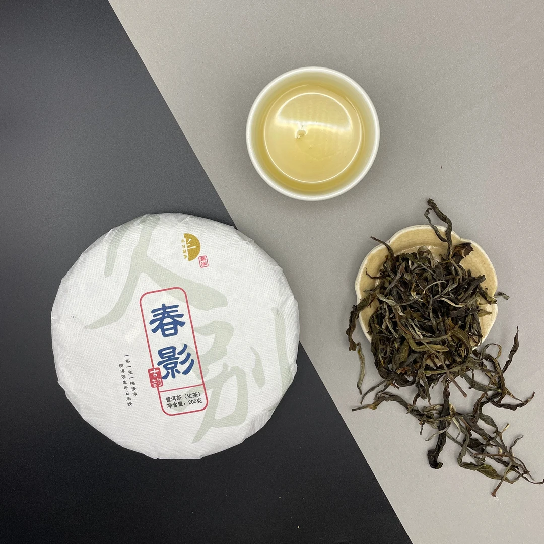 当家花旦之春影古韵 2023春茶 香韵持久花香入水 古树茶