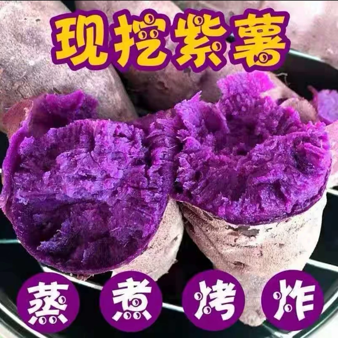 新鲜沙地紫罗兰紫薯，软糯香甜无丝花青素好吃健康粗纤维