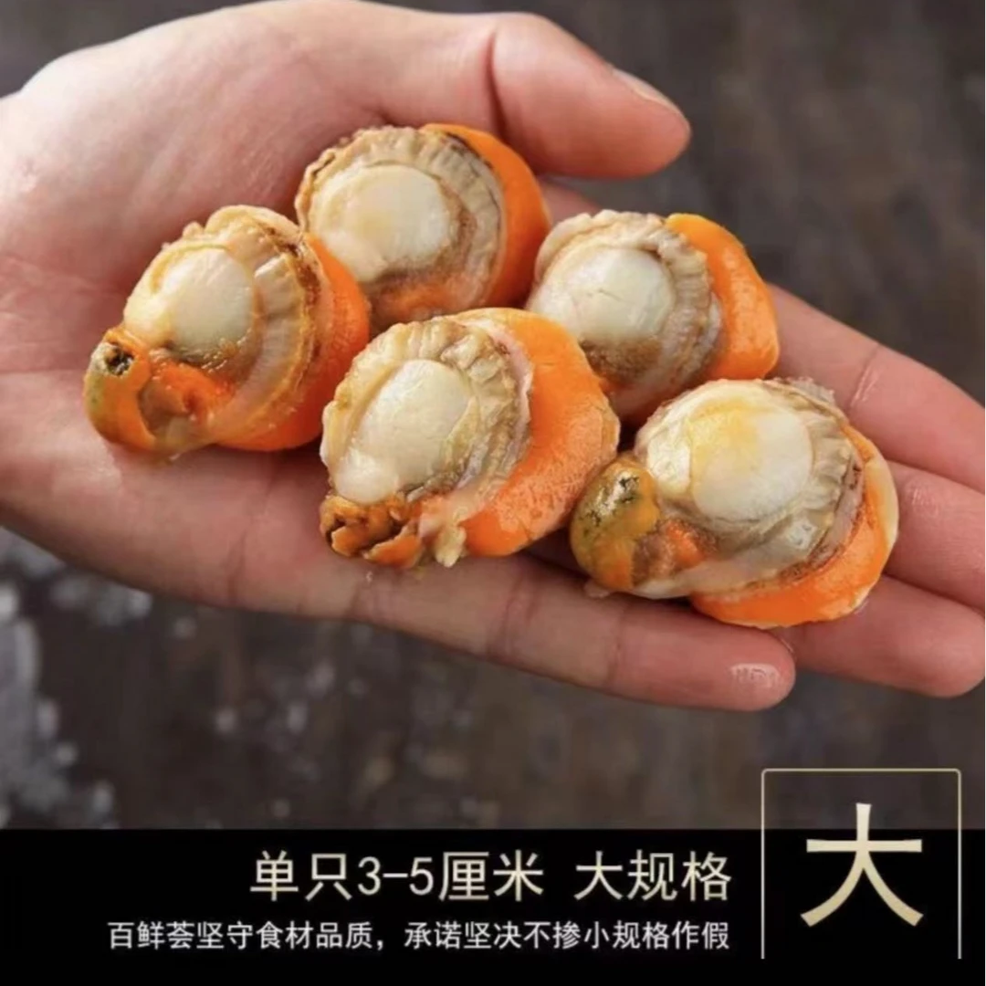 特大扇贝肉去壳新鲜现剥无泥无沙 连云港发货紧实干净新鲜捕捞