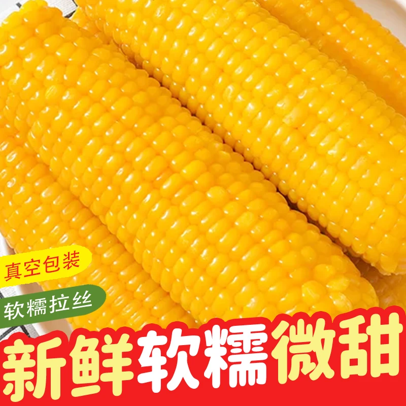 新鲜黄糯玉米棒到手10支4-5斤真空香甜糯玉米低脂早餐蔬菜水果-