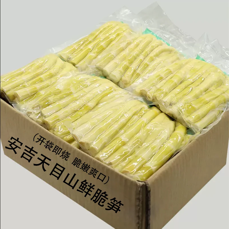 竹笋新鲜小嫩笋安吉天目山嫩笋尖清水笋春笋火锅食材农家脆笋美味