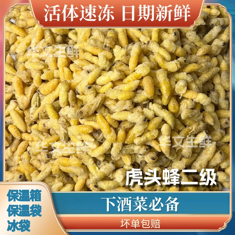 虎头蜂野生二级蜂蛹天然新鲜马蜂蛹活体干油炸即吃营养泡酒500g