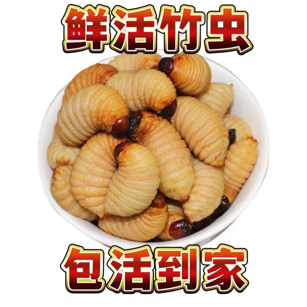 【二宝妈专属包活到家】高蛋白竹笋虫营养美味下酒下饭直播引流道具