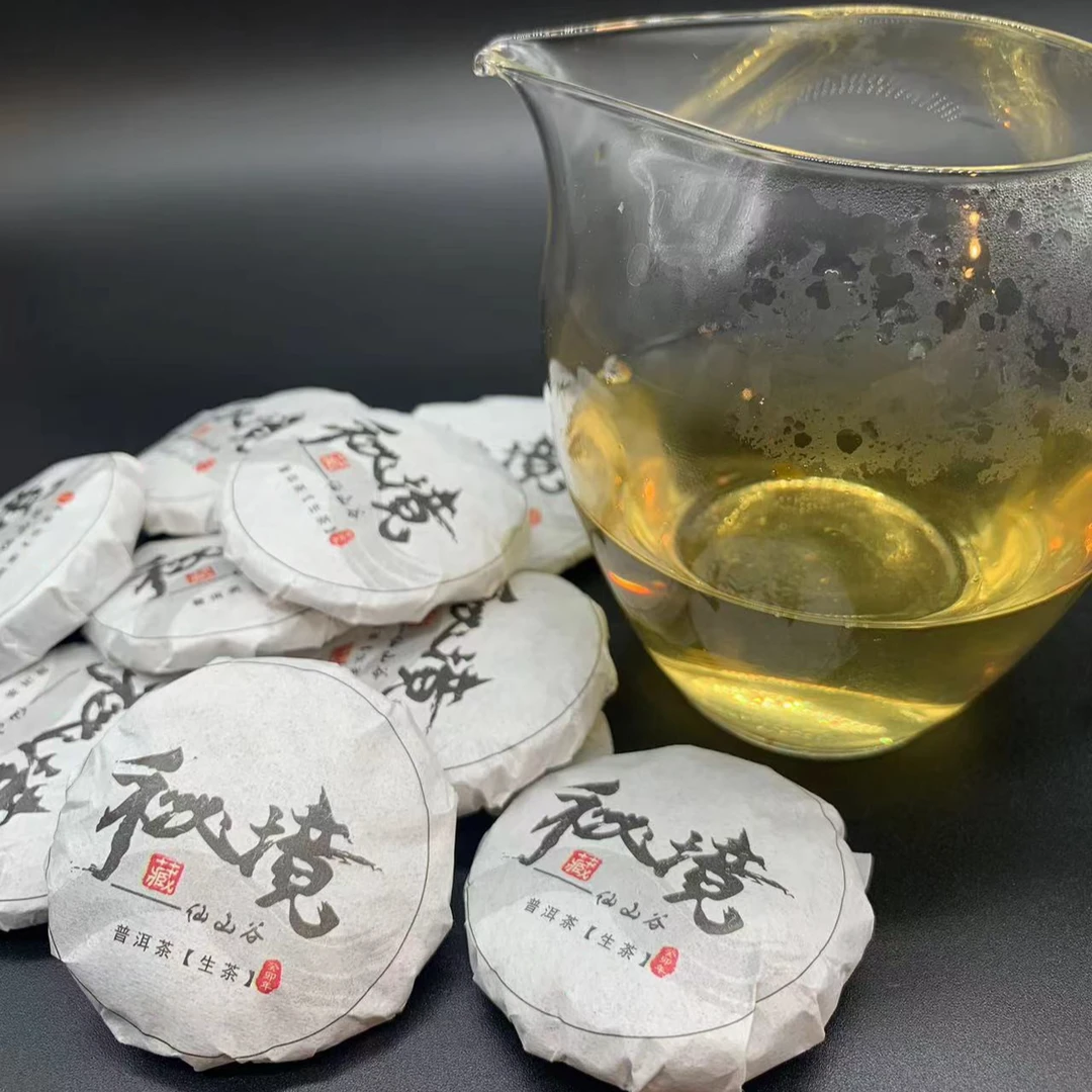 2023 秘境仙山谷 8克小饼  茶树与森林共生  古树生普