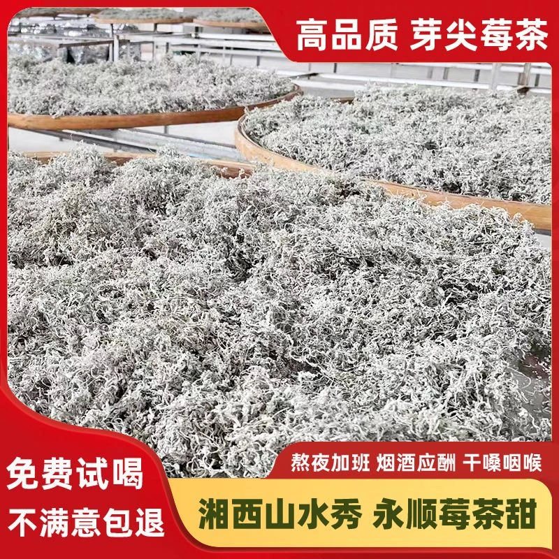 永顺莓茶特级野生龙须藤芽尖霉茶湖南湘西正宗高山特产嫩芽尖莓茶
