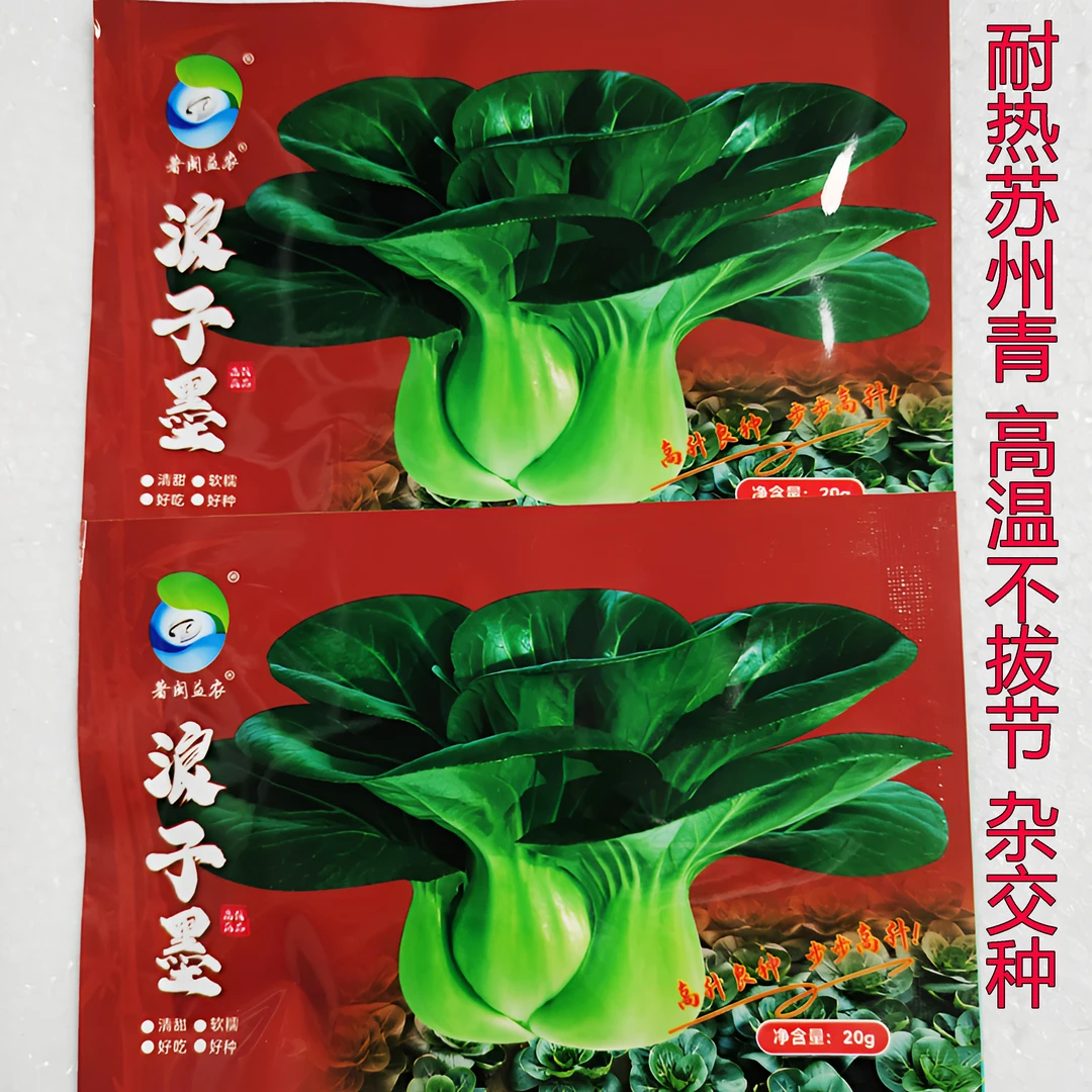 浪子墨青菜种子杂交耐热苏州青种子口感软糯清甜墨绿叶青菜种子