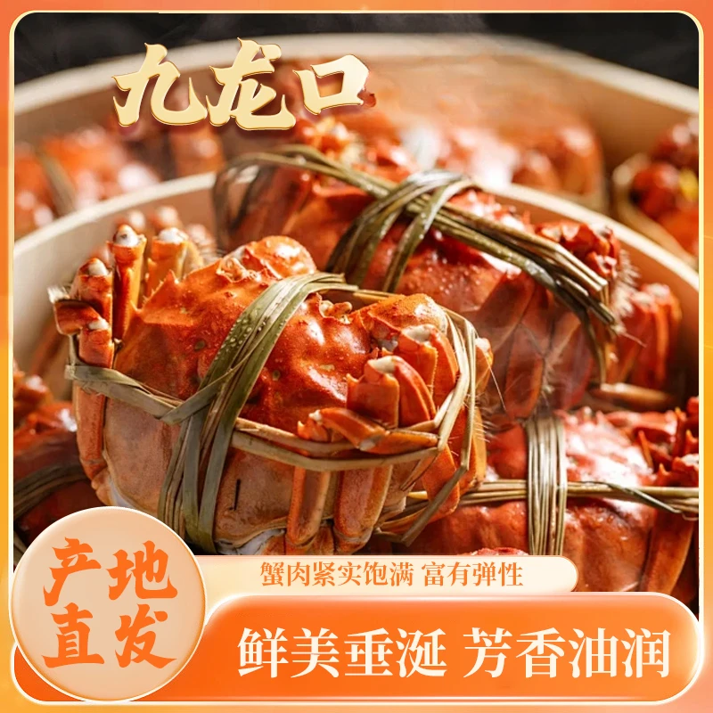 九龙口河蟹公2.1两-1.8两（精选成年蟹6只 包活到家）