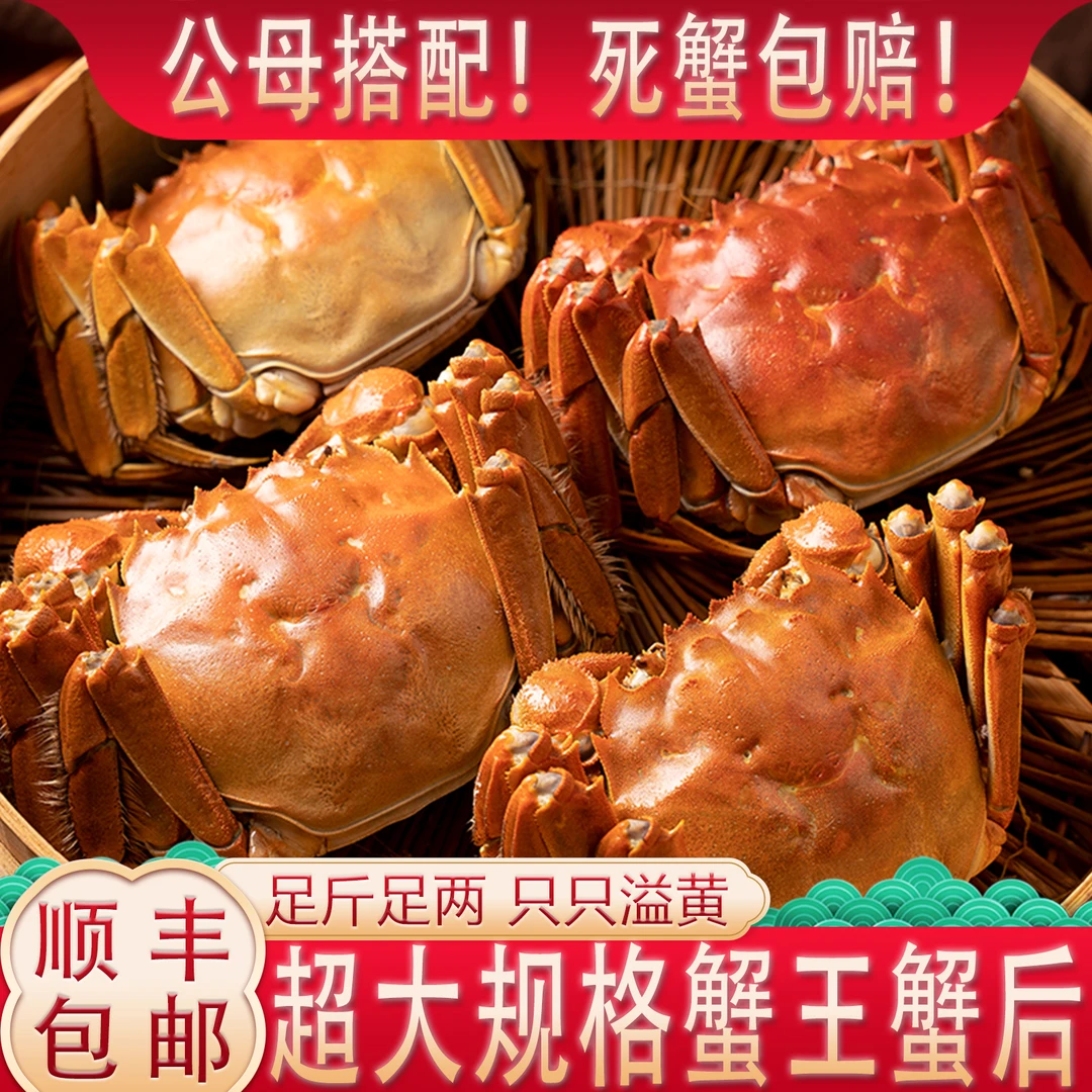 【活蟹】公3.5-3.3两+母2.5-2.3两8只装只只精挑江苏清水大闸蟹D2