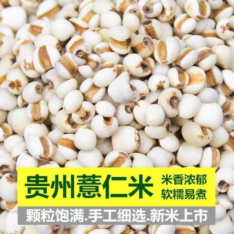 【包邮】500g贵州兴仁薏米仁农家自产新鲜五谷杂粮粗粮薏仁米