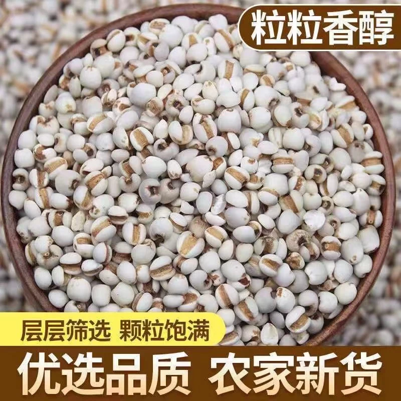 【送运费险】贵州农家新货薏米薏仁米五谷杂粮多规格选择
