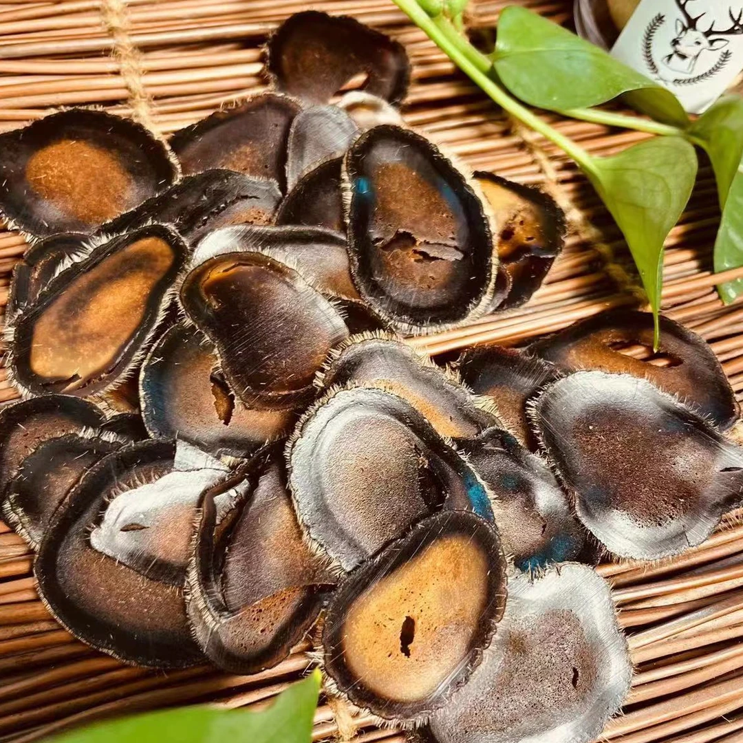 鹿茸全蜡片碎片 东北梅花鹿乡 自用性价比款