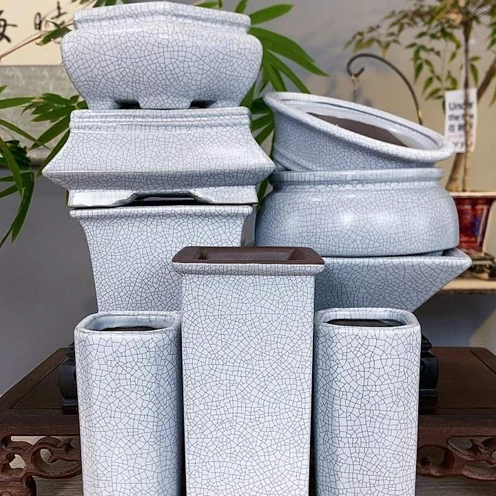 红陶20CM（含）-50CM（不含）