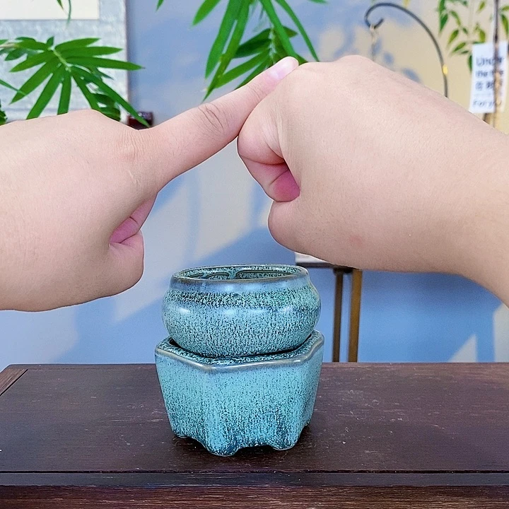 红陶20CM（含）-50CM（不含）
