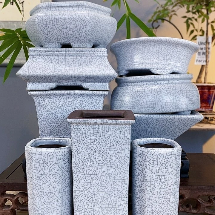 红陶20CM（含）-50CM（不含）