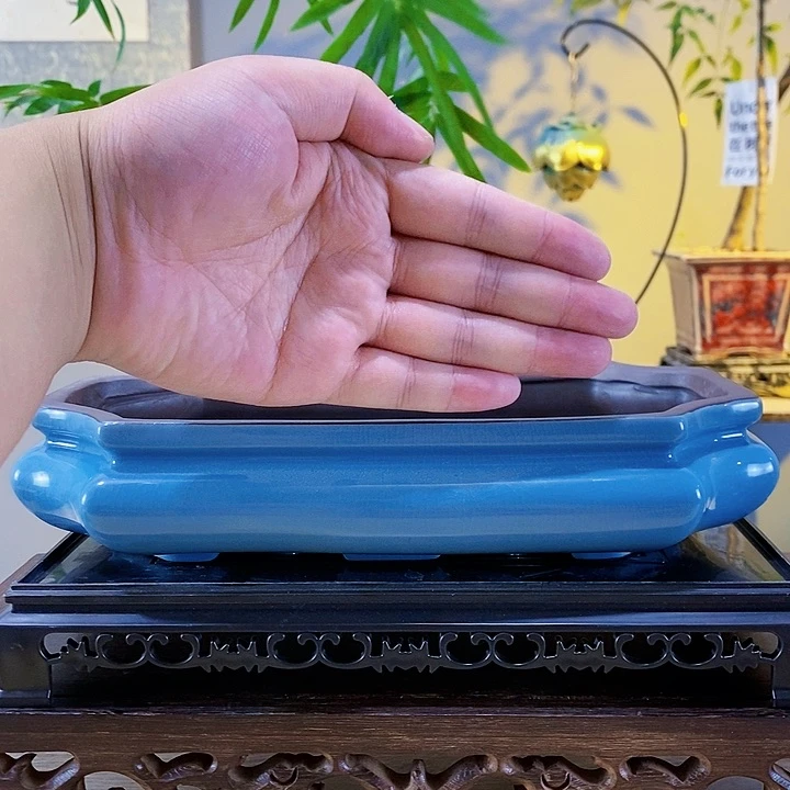 红陶20CM（含）-50CM（不含）