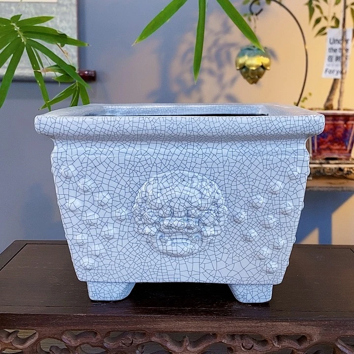 红陶20CM（含）-50CM（不含）