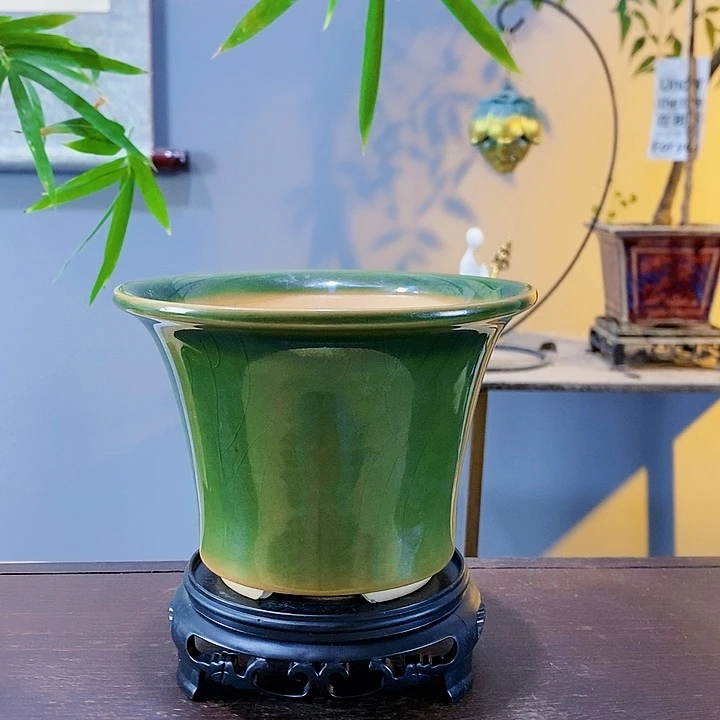 红陶20CM（含）-50CM（不含）