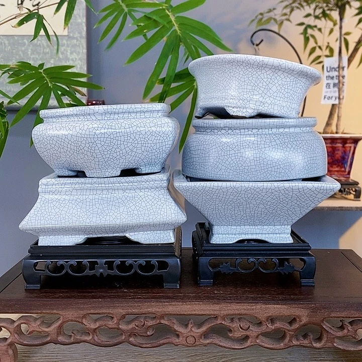 红陶20CM（含）-50CM（不含）