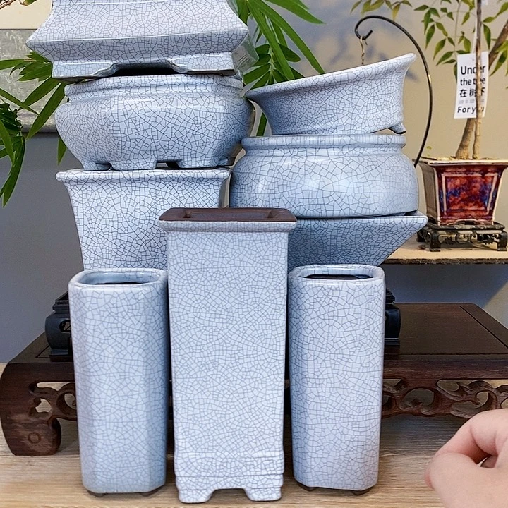 红陶20CM（含）-50CM（不含）