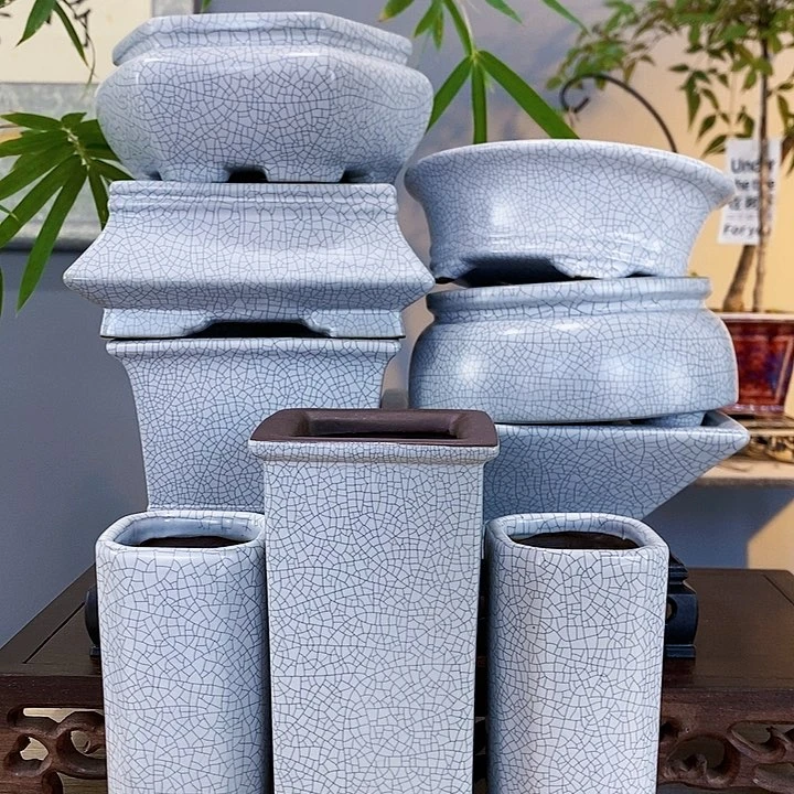 红陶20CM（含）-50CM（不含）