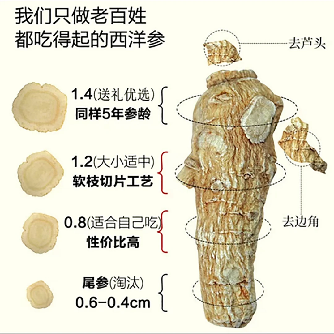 御健康西洋参片食用滋补花旗参正宗长白山5年老参软质切片50克/罐