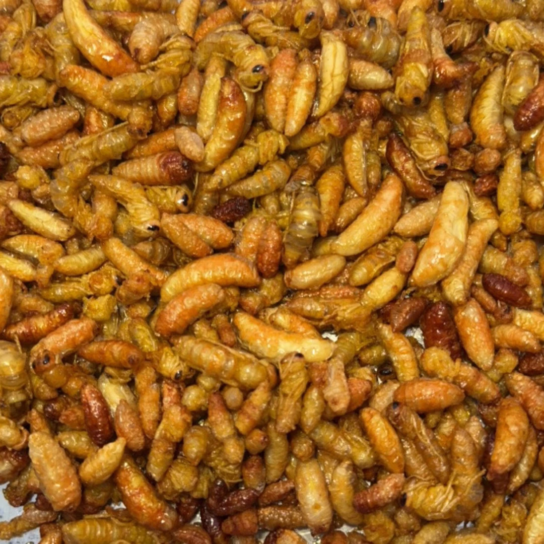 精品虎头蜂土蜂123级混合/3级取内脏/菜籽油现炸蜂蛹