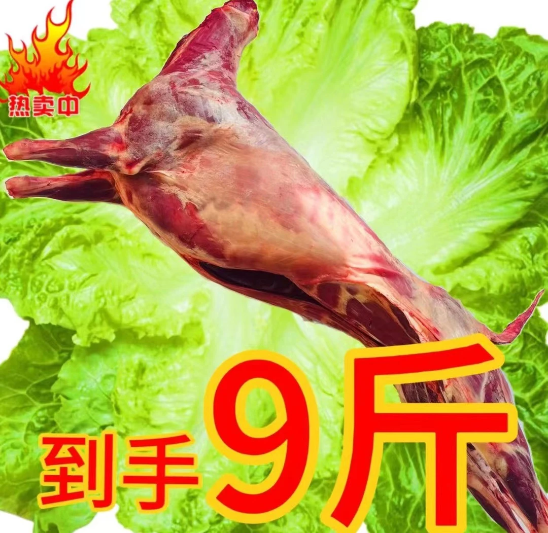 【半只羊9斤】3斤羔羊羊前腿3斤羔羊羊肋排3斤羔羊羊后腿+卤肉包