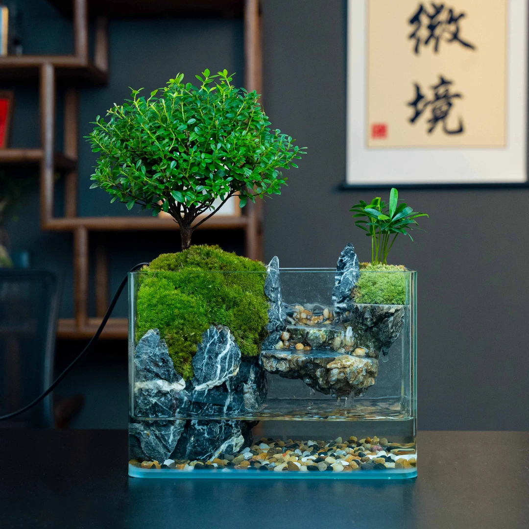 【三七】一马平川-小叶赤楠尺寸长25宽16高18厘米成品创意桌面景观