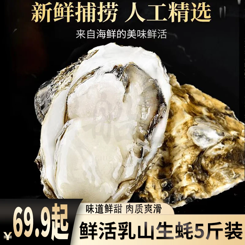 鲜活乳山生蚝 5斤/份