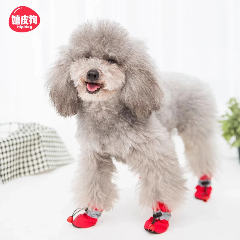 嬉皮狗-狗狗鞋子英文印花七彩鞋小型犬泰迪宠物防脏不掉脚套2656