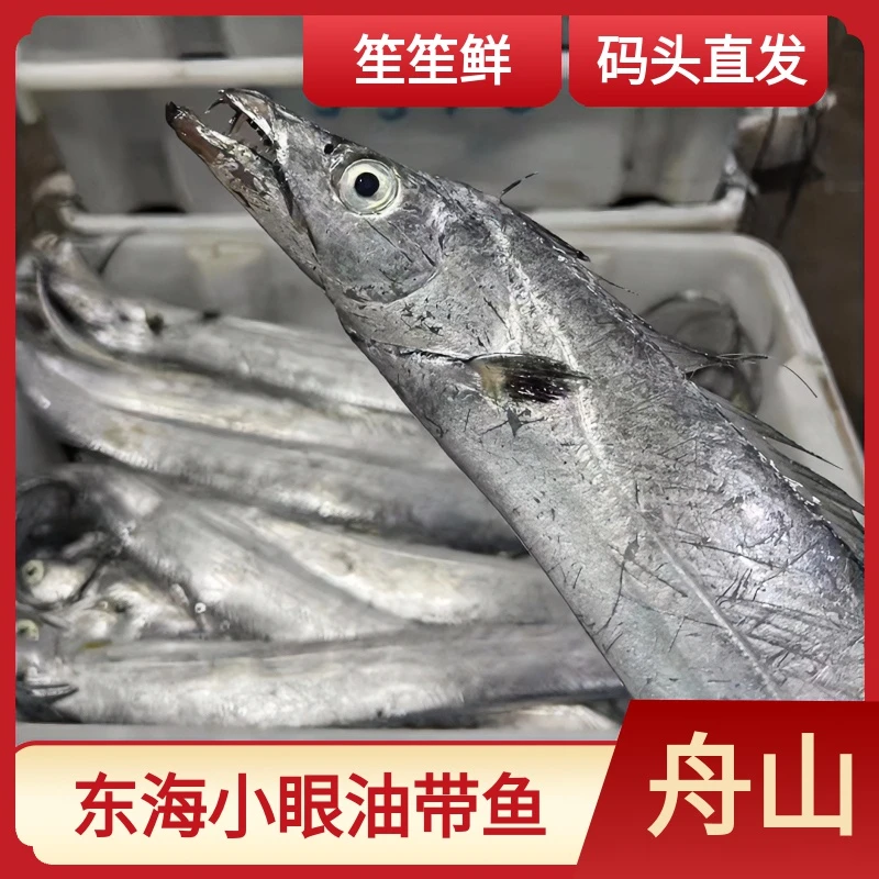 【破肚】舟山拖网油带鱼 10斤装  介意破肚的慎拍