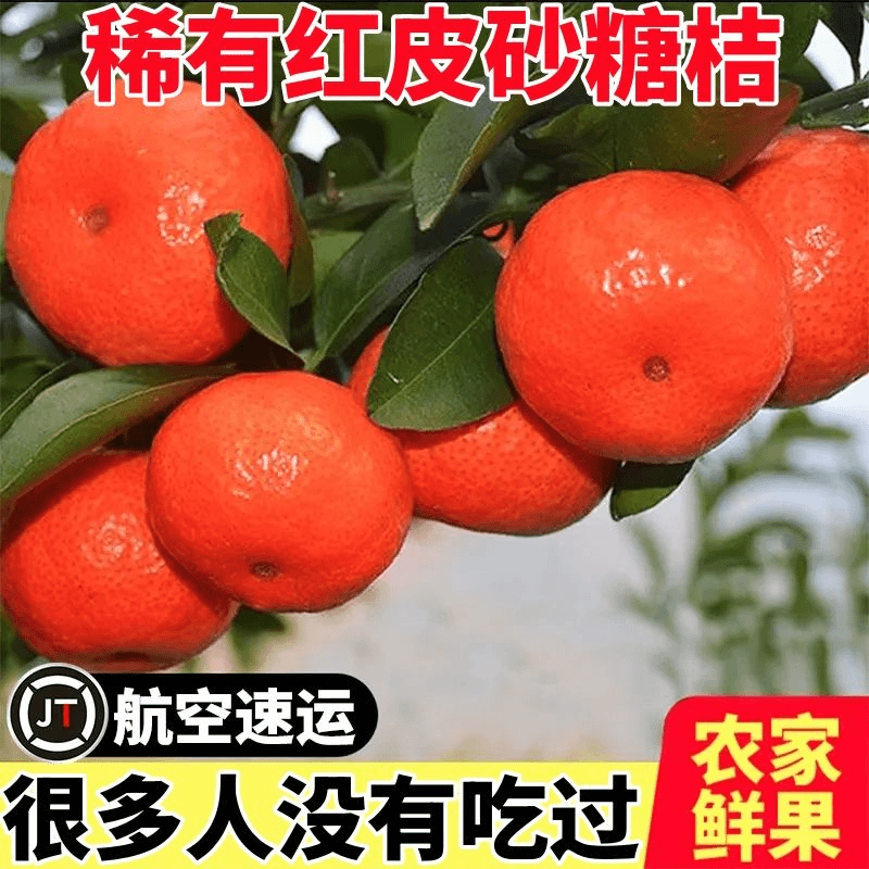 【坏果包赔】广西无籽沙糖桔酸甜新鲜蜜橘爆汁10斤早熟柑橘子纯甜口