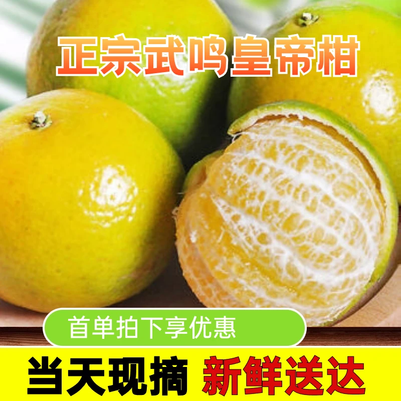 广西武鸣正宗皇帝柑新鲜水果当季橘子整箱包邮贡柑纯甜桔子黄帝柑