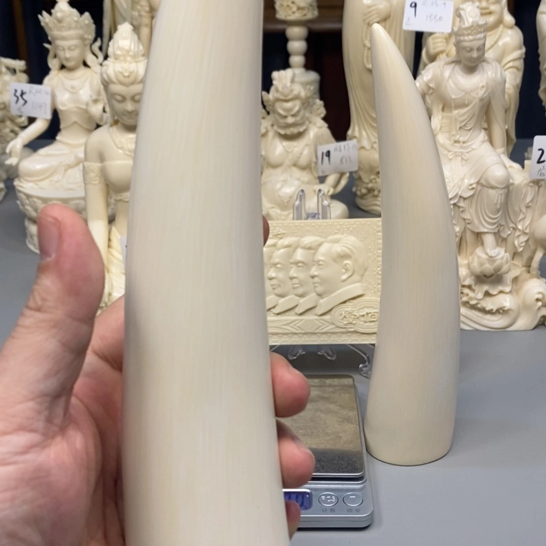 【闪购商品】猛犸根雕