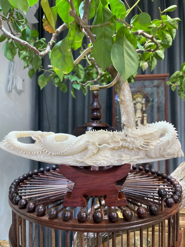 【新品】手工猛犸牙龙尖雕刻摆件配送底坐和礼盒