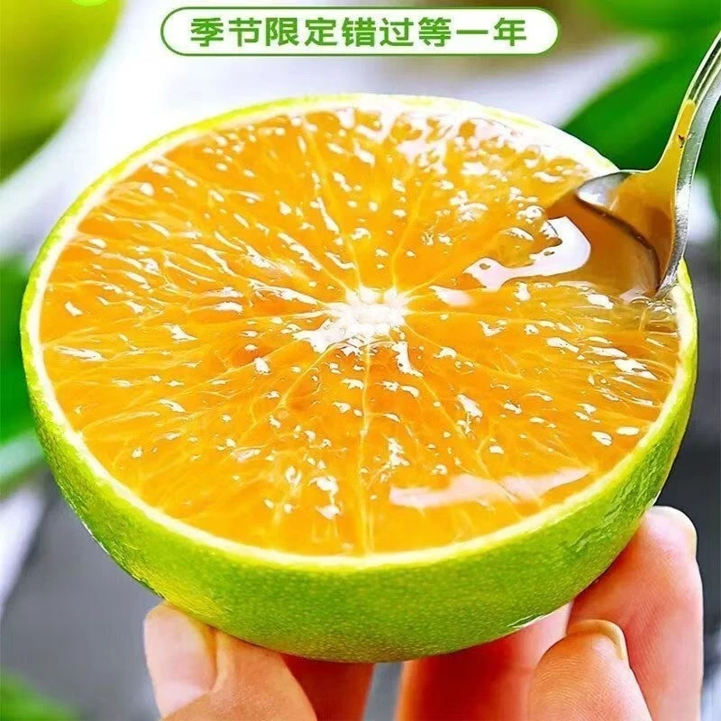 云南纯甜冰糖橙新鲜橙子5斤当季水果青皮果冻橙手剥甜橙蜜桔整箱