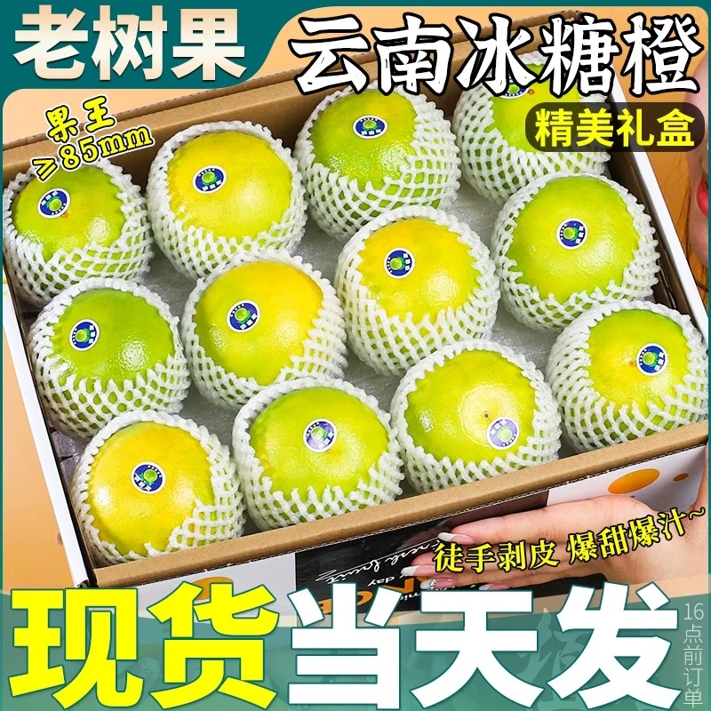 实建褚橙正品2024年云南哀牢山冰糖橙新鲜水果应季当季送礼佳品