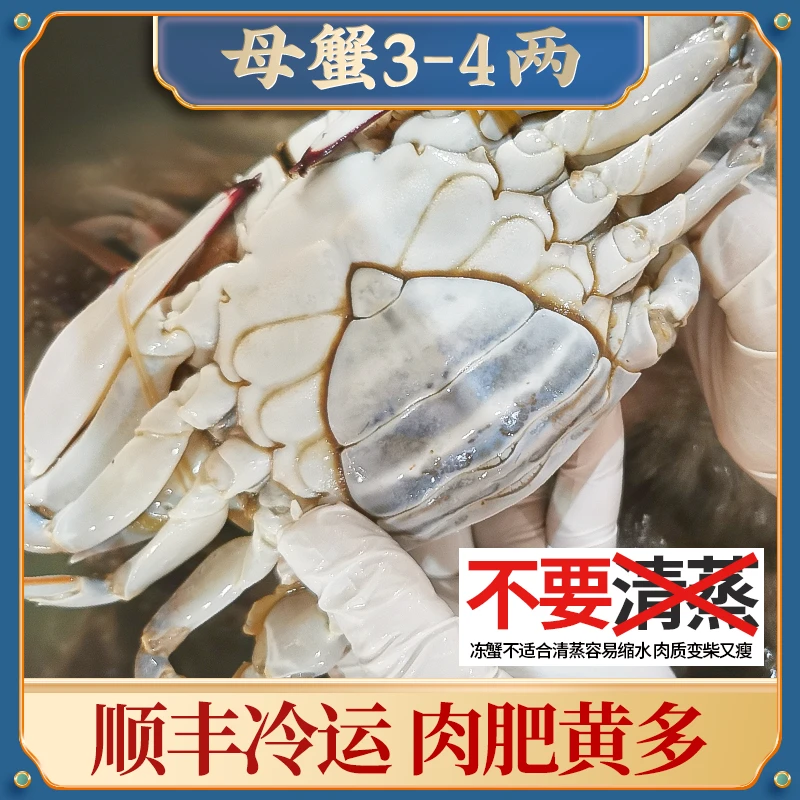 T舟山梭子蟹母蟹3-4两/只液氮冷冻螃蟹水产飞蟹肉蟹美味速冻海鲜