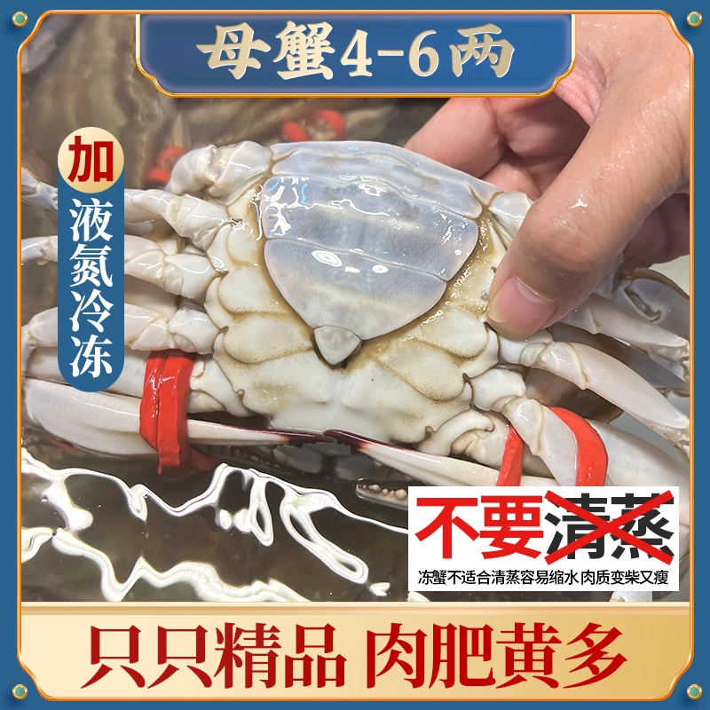 T舟山梭子蟹母蟹4-6两左右液氮冷冻螃蟹水产飞蟹肉蟹美味速冻海鲜