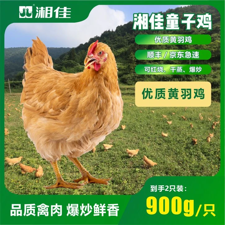 【葛泥优选】湘佳石门高山散养童子鸡900g*2只装肉质鲜嫩