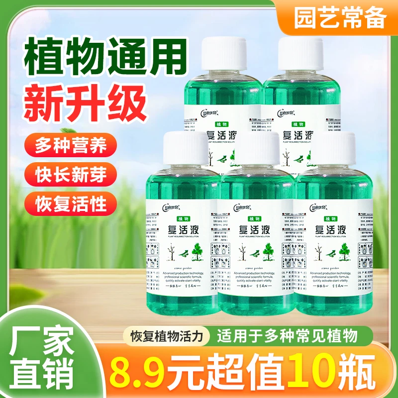 恬宸优品解决植物黄叶光杆难题喷施植株发芽增强花卉