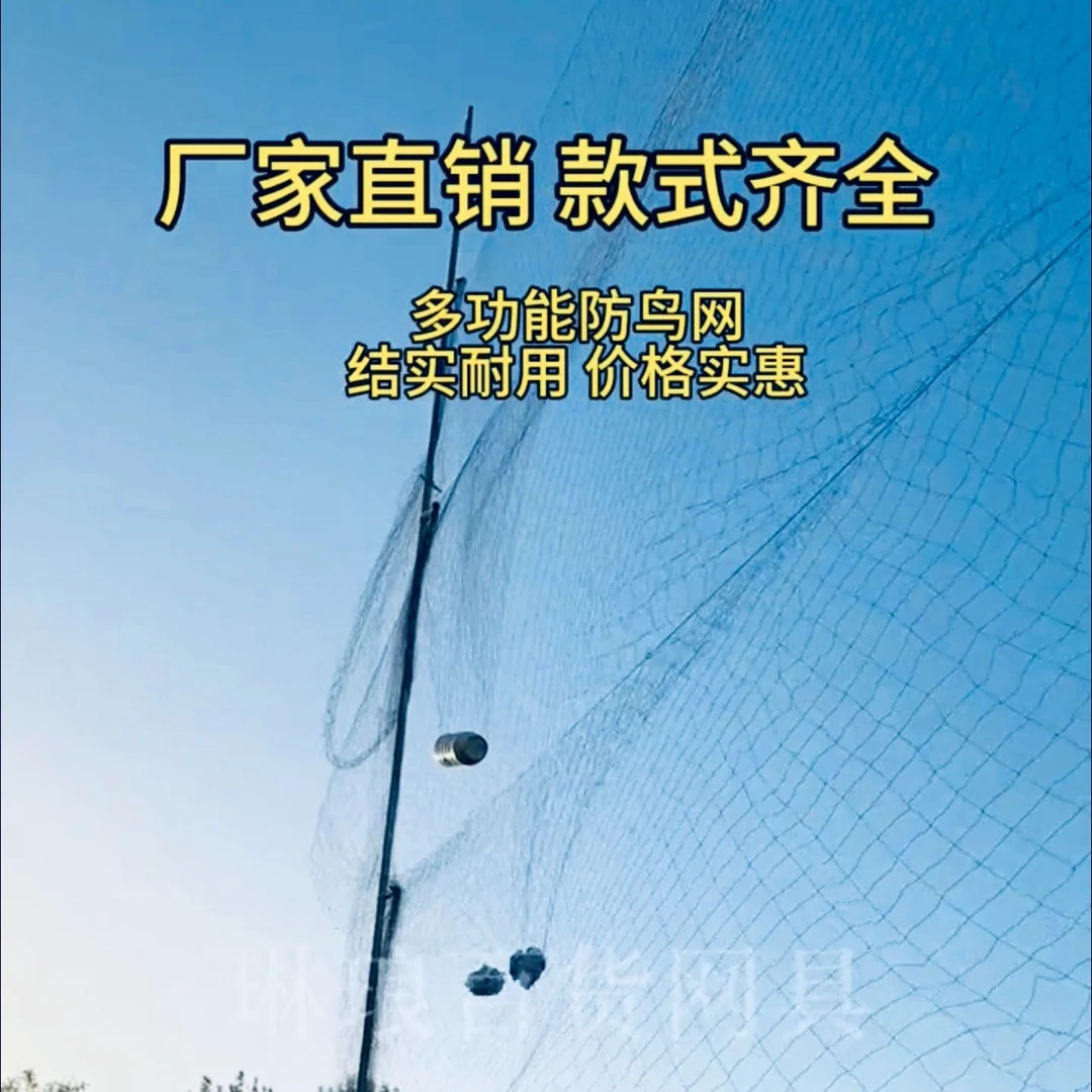 尼龙网防鸟网果树户外养鸡兔子养殖网鱼塘养殖防护机场专用精品