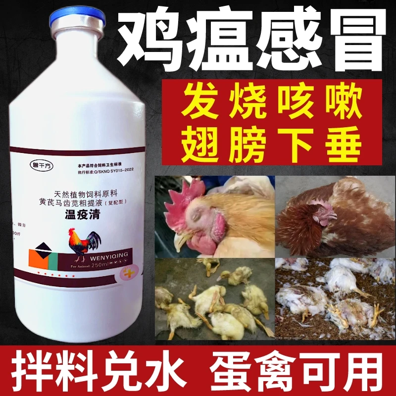 养鸡专用瘟疫清温立康温可清小鸡疫苗鸭子家禽感冒救命克星专用