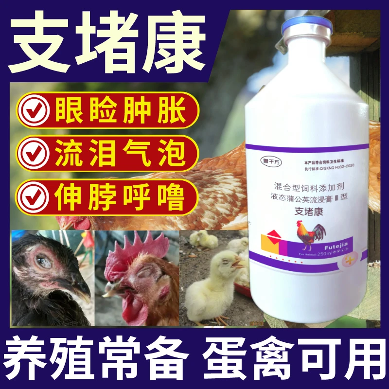 呼吸道感染养鸡用的支堵康鸭鹅支原体气囊炎呼噜怪叫家禽感冒伸脖