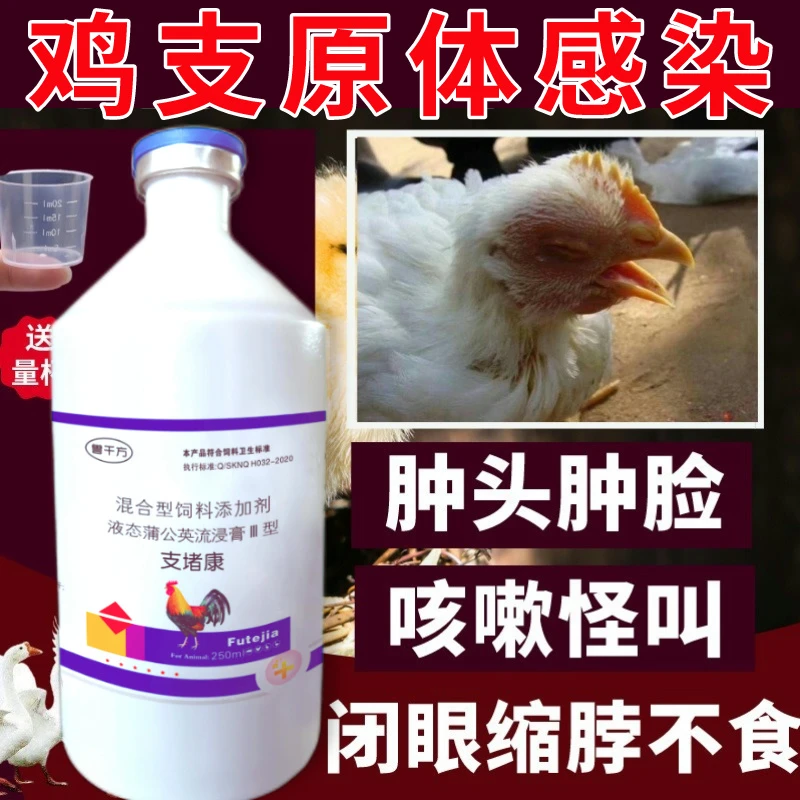 畜牧支原体感染堵康呼吸道感染可用咳嗽喘气呼噜怪叫添加剂鸡鸭鹅