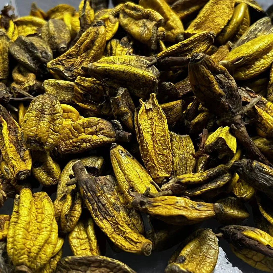 云南深山好物--深山自摘石仙桃