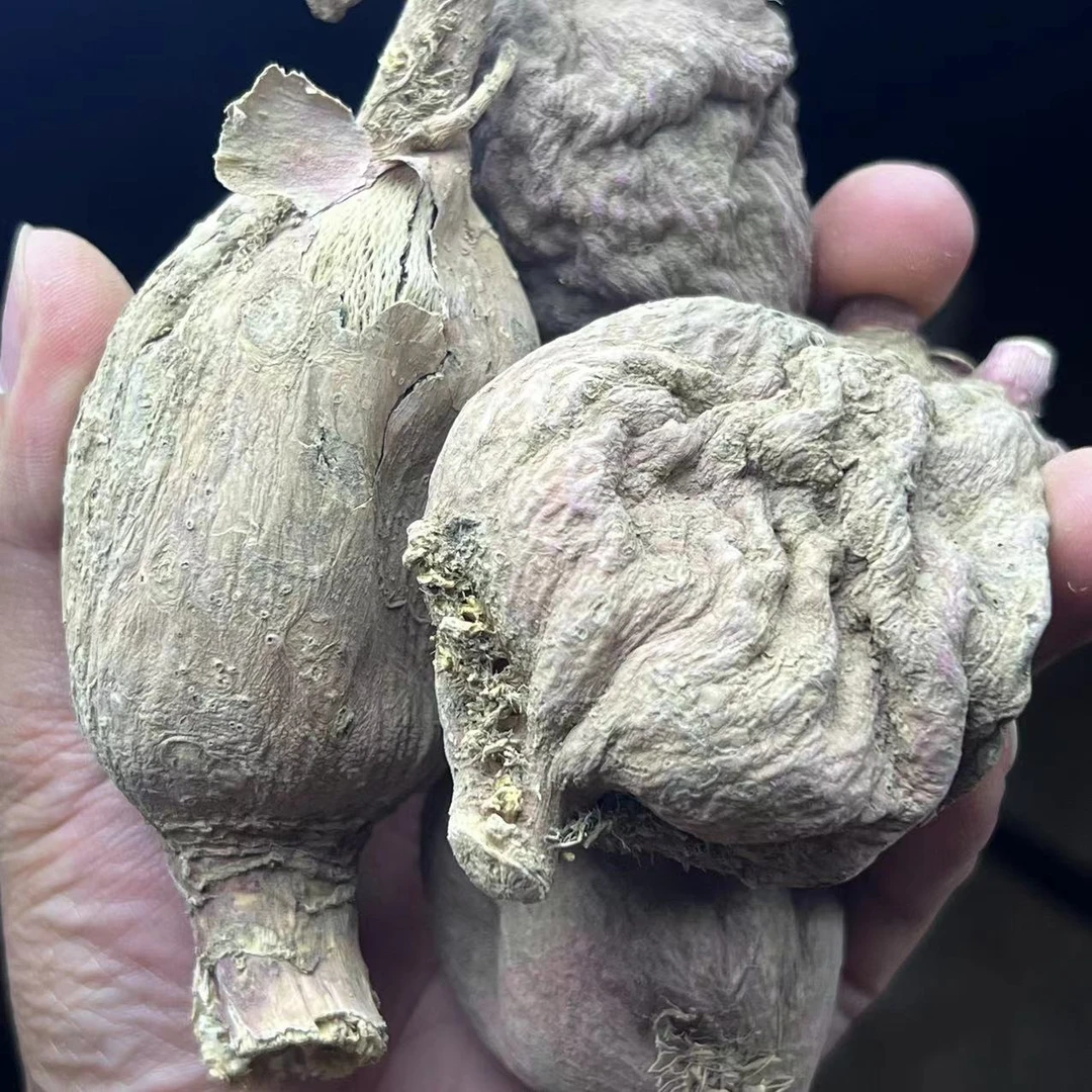 云南深山好物-仙人头