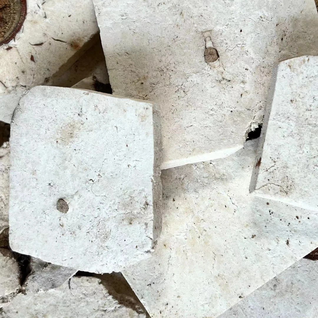 云南深山野生茯苓中心块【伏 神】